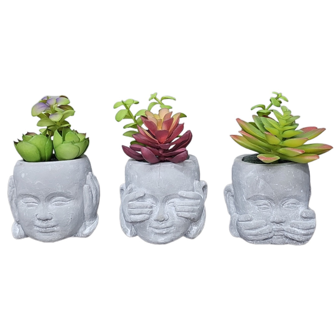 Hear No, See No, Speak No Succulent Planters - Set of 3